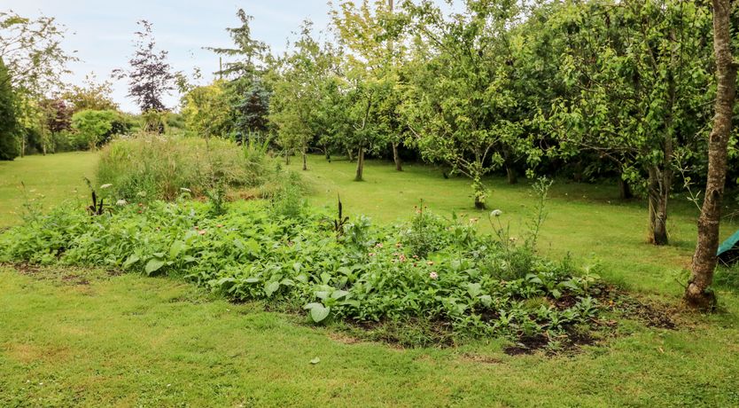 Photo of Teach Chiuin