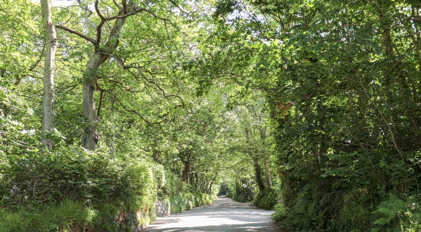 Photo of Gyda'r Llif