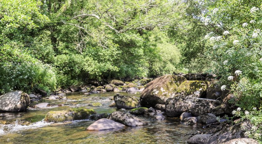 Photo of Gyda'r Llif