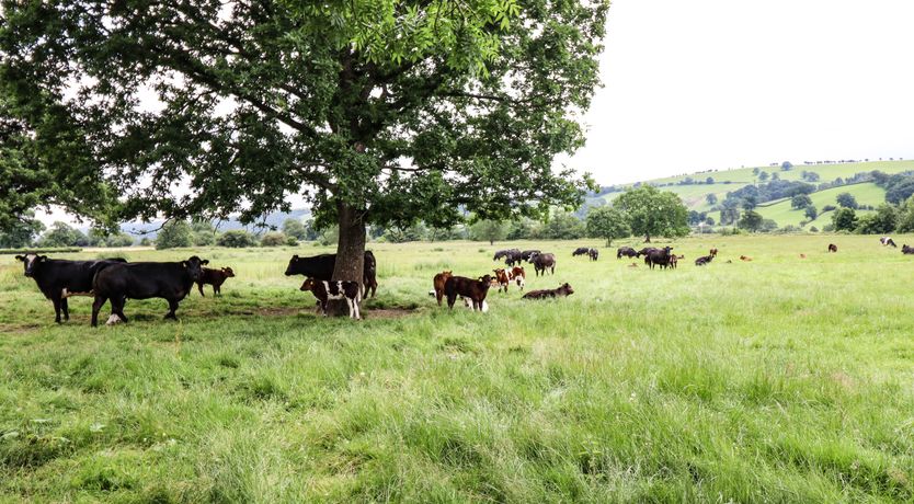 Photo of Bodaioch Hall