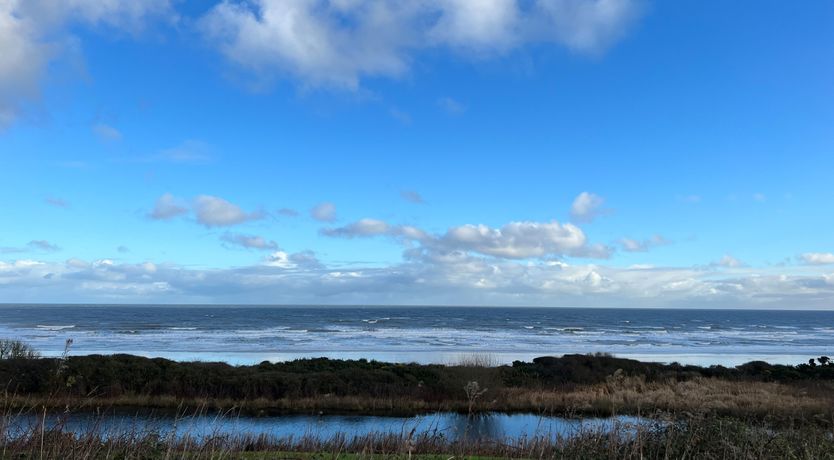 Photo of Gone Crabbing