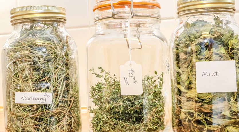 Photo of The Forge at Smithy Cottage