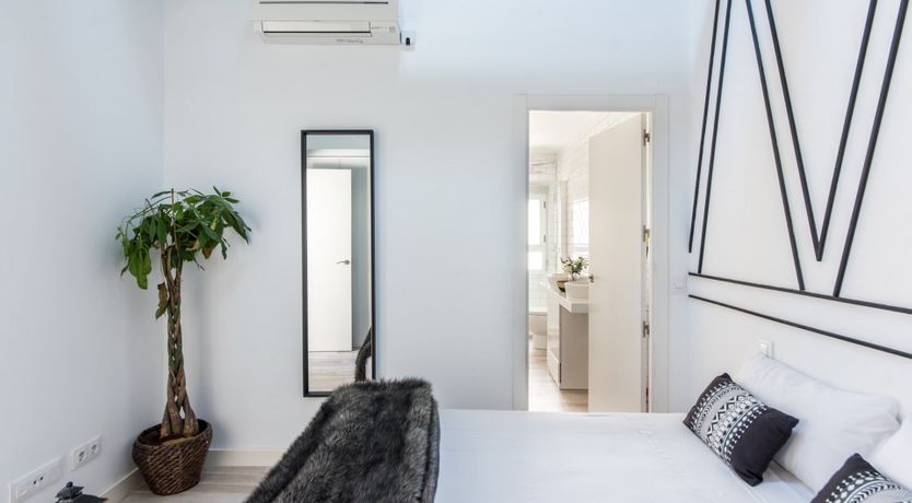 Photo of Angel Wings