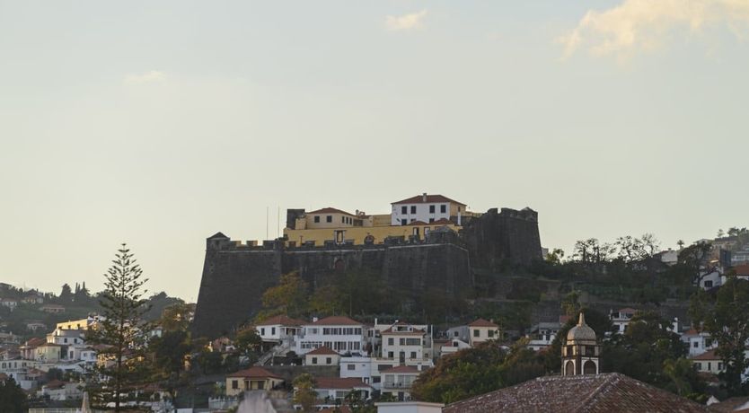 Photo of Bebera Branca