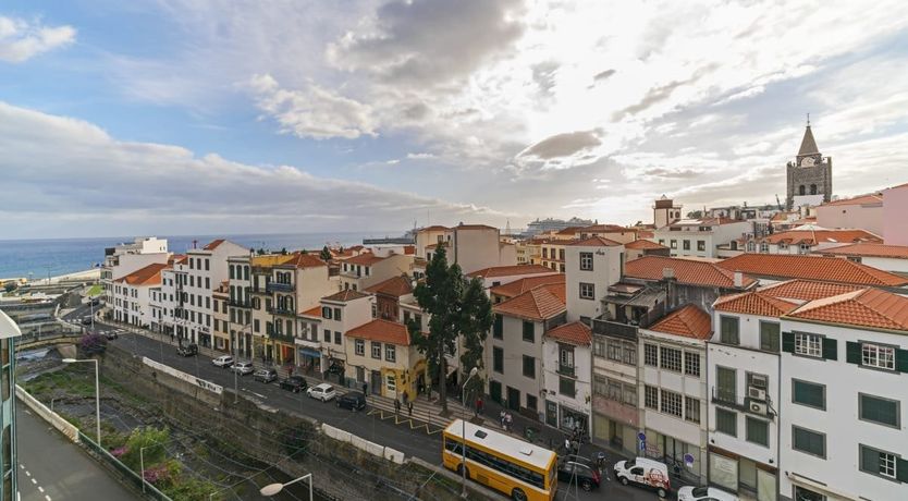 Photo of Bebera Branca