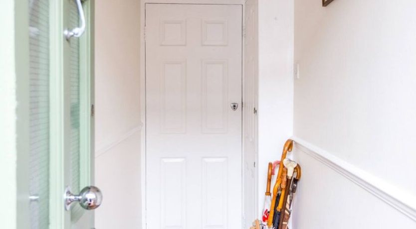 Photo of Elephant & Oxpecker