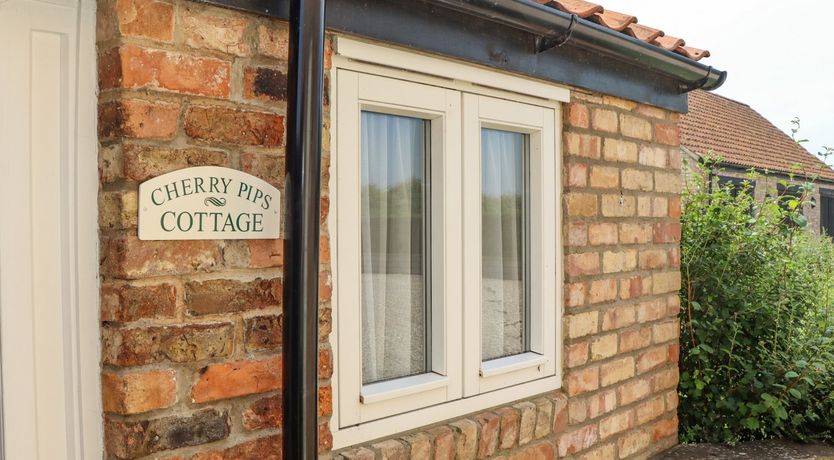 Photo of Cherry Pips