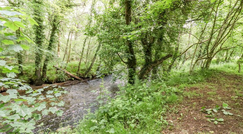Photo of Foxglove Cottage