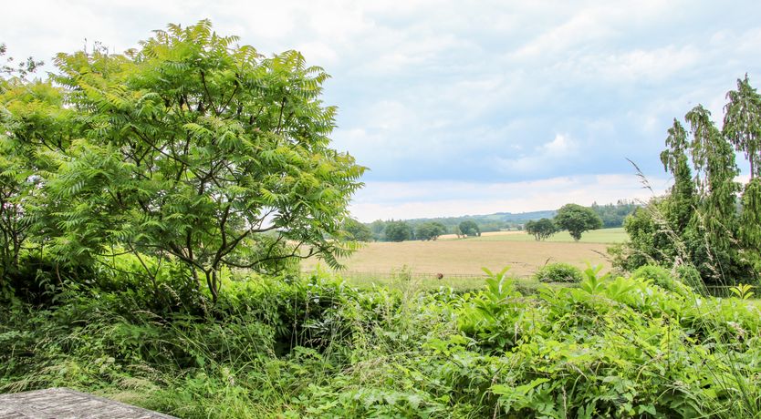 Photo of The Old Nursery