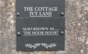 Photo of The Mouse House