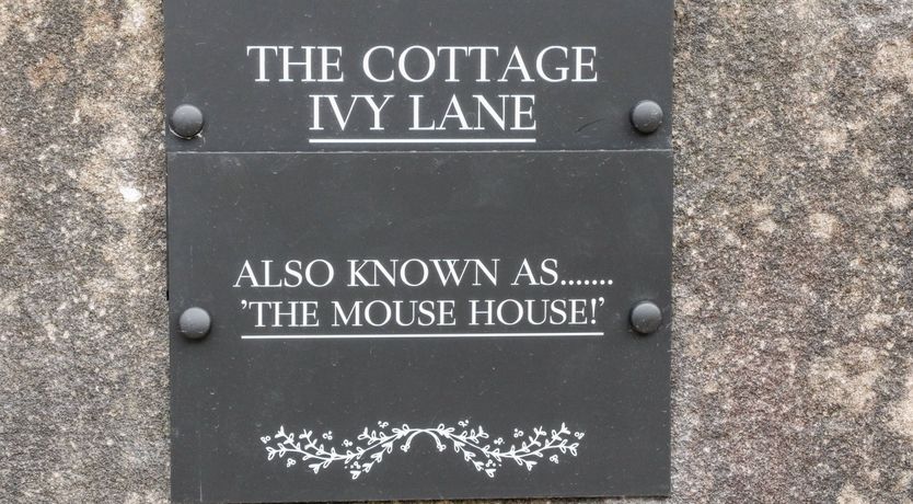 Photo of The Mouse House