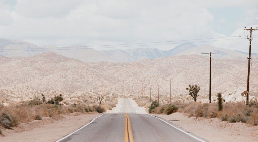 Photo of Just Desert