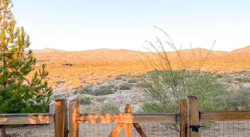 Photo of Just Desert