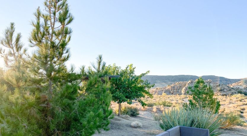 Photo of Just Desert