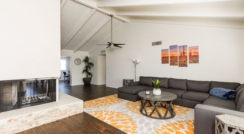 Photo of Moon Cactus