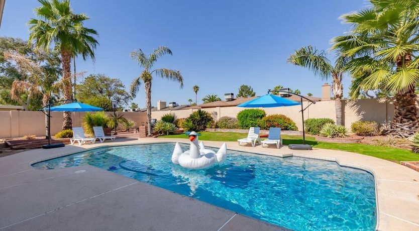 Photo of Moon Cactus