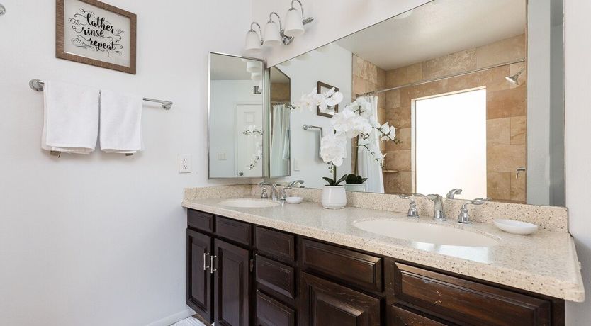 Photo of Moon Cactus