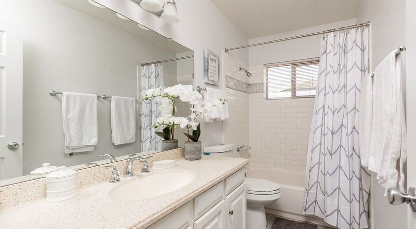 Photo of Moon Cactus