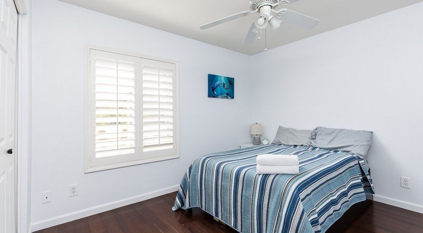 Photo of Moon Cactus