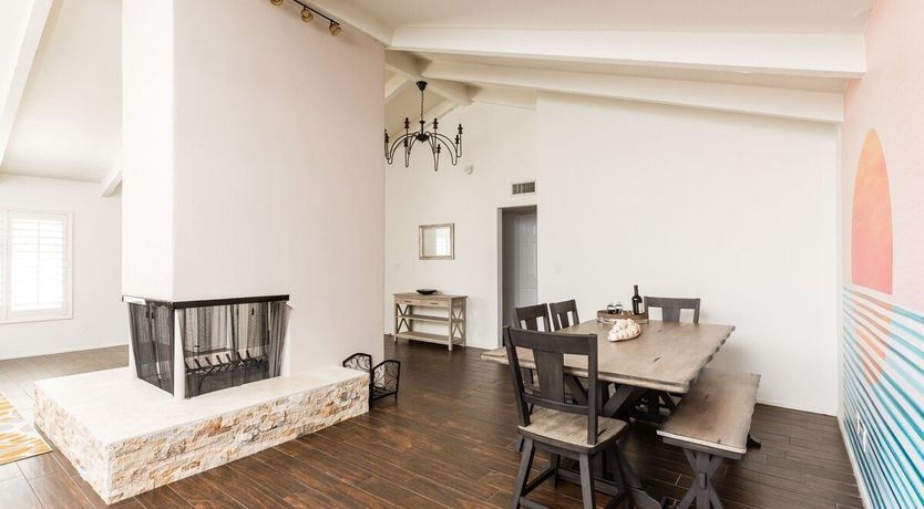 Photo of Moon Cactus