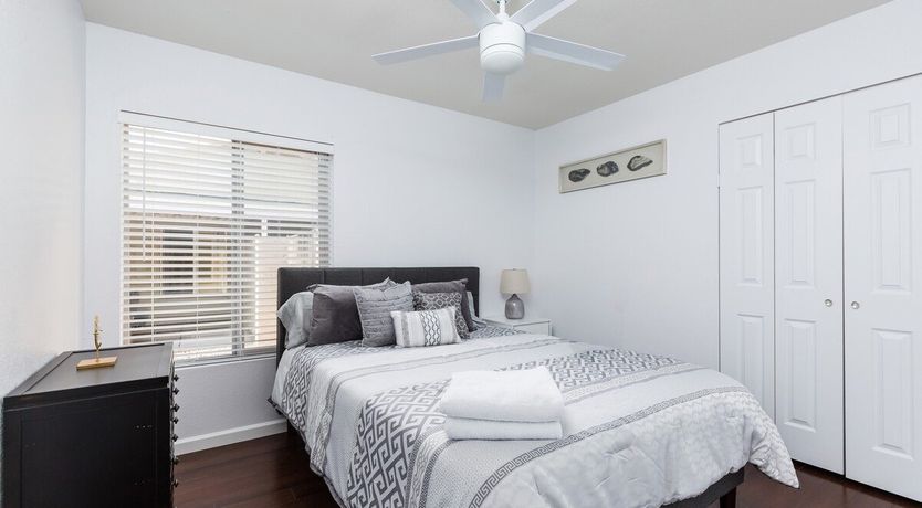 Photo of Moon Cactus