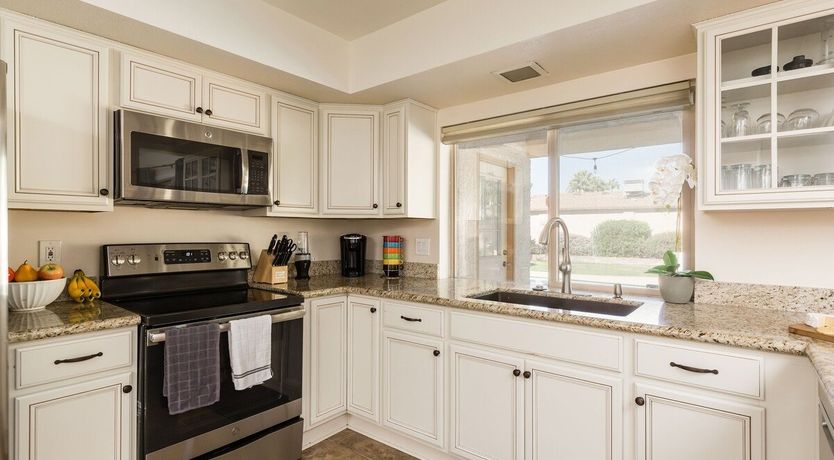 Photo of Moon Cactus