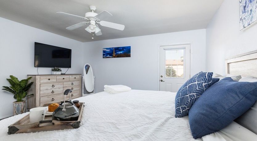 Photo of Moon Cactus