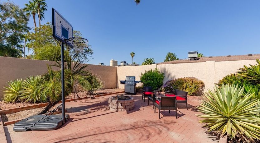 Photo of Moon Cactus