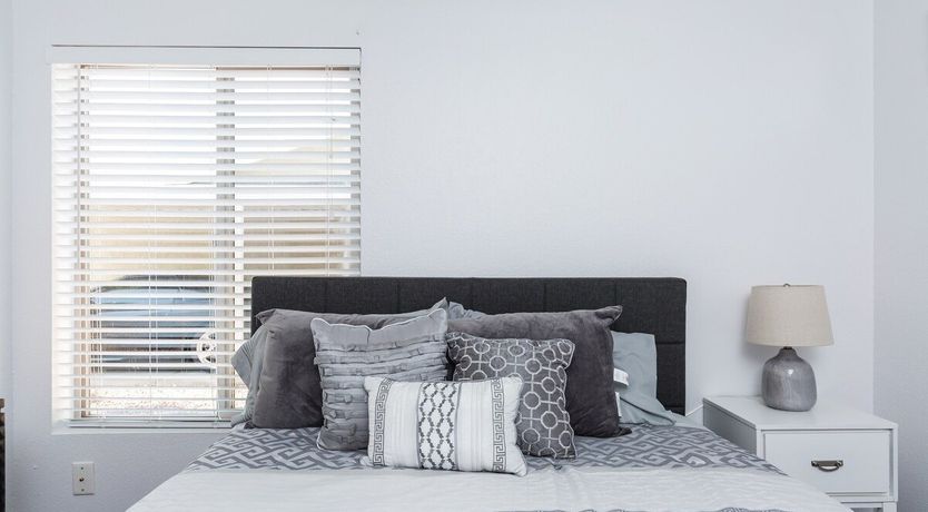 Photo of Moon Cactus