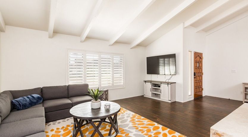 Photo of Moon Cactus