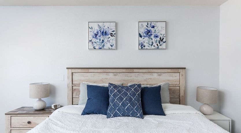 Photo of Moon Cactus