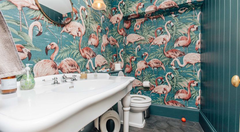 Photo of The Lark Ascending