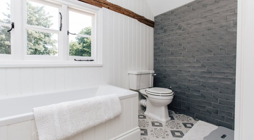 Photo of The Lark Ascending