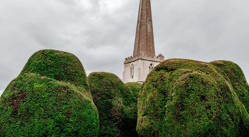 Photo of The 99 Yew Trees