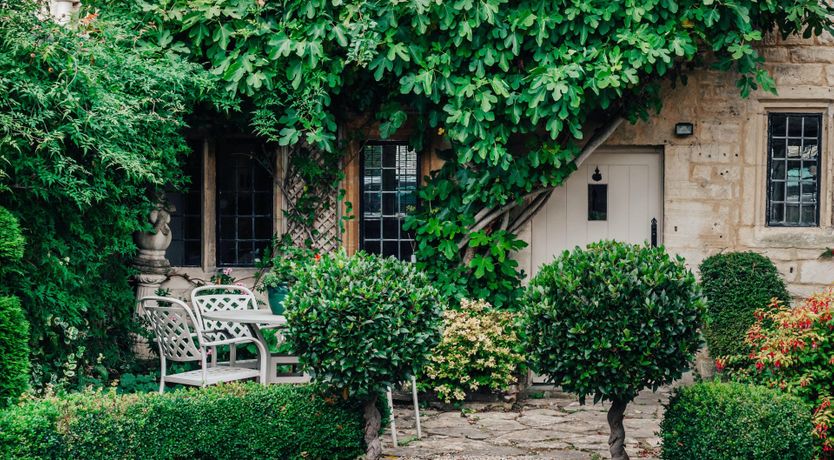 Photo of The 99 Yew Trees