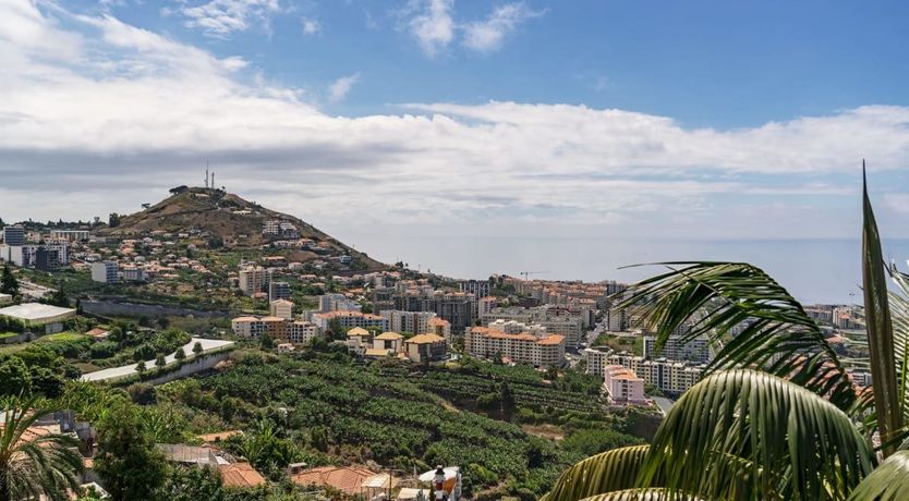 Photo of Palm Overlook