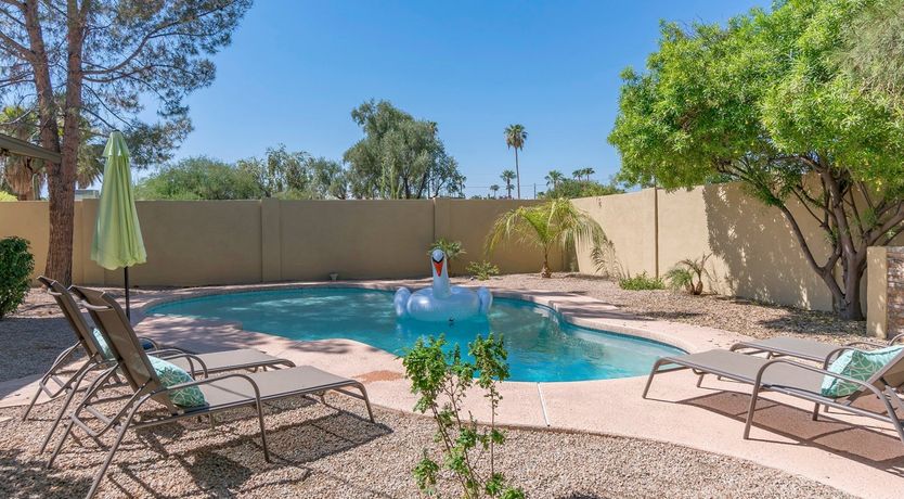 Photo of The Rebel Bean