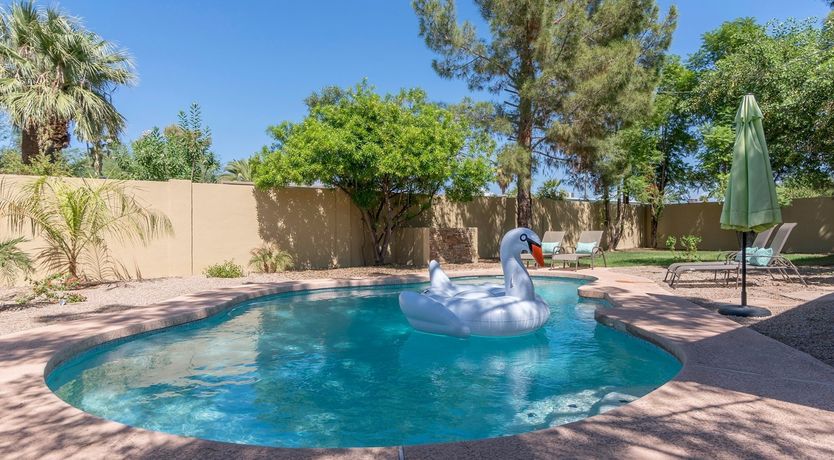 Photo of The Rebel Bean