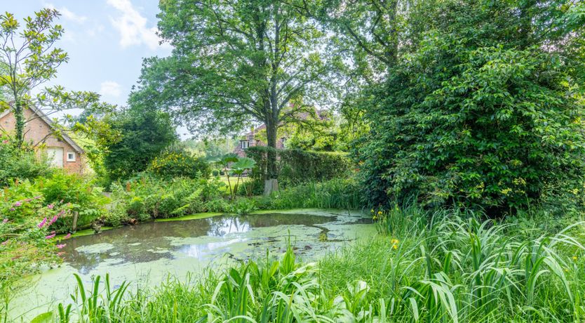 Photo of Foxglove Cottage