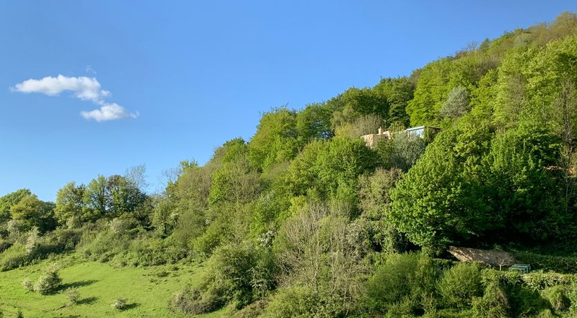 Photo of Under Catswood