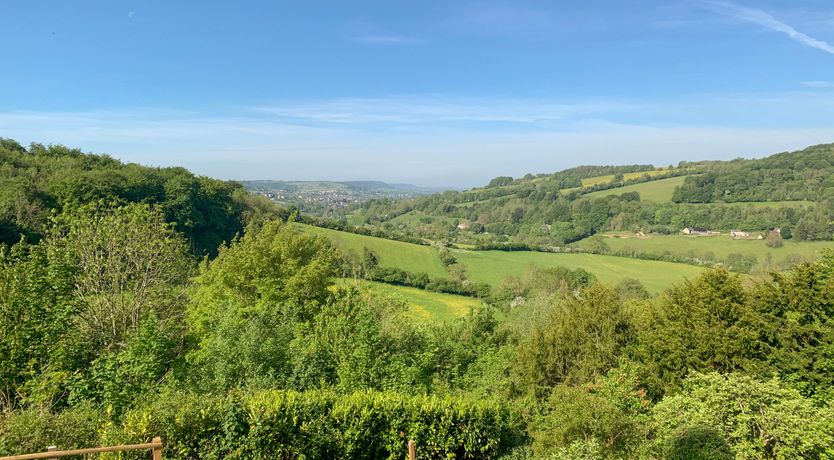 Photo of Under Catswood