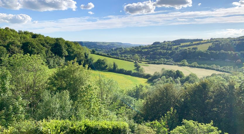 Photo of Under Catswood