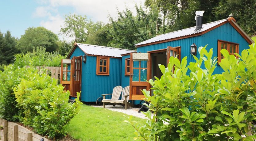 Photo of Little Silver Pheasant