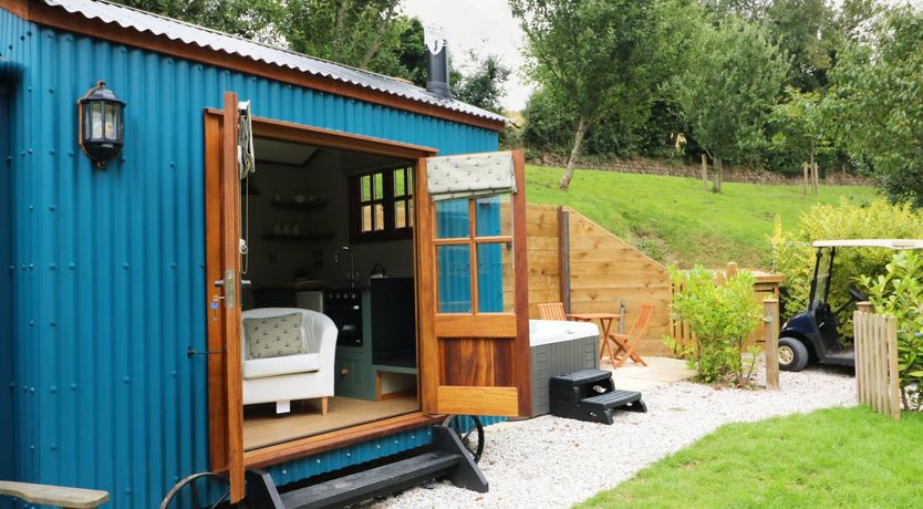 Photo of Little Silver Pheasant