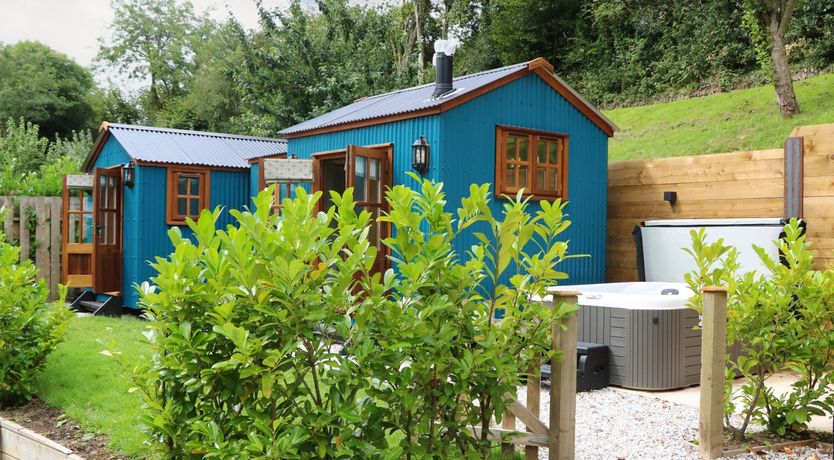 Photo of Little Silver Pheasant