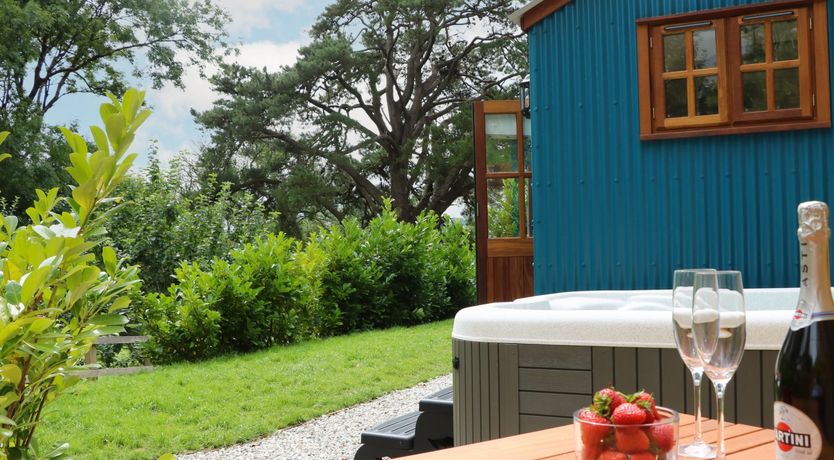 Photo of Little Silver Pheasant