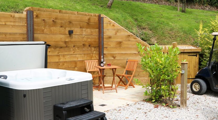 Photo of Little Silver Pheasant