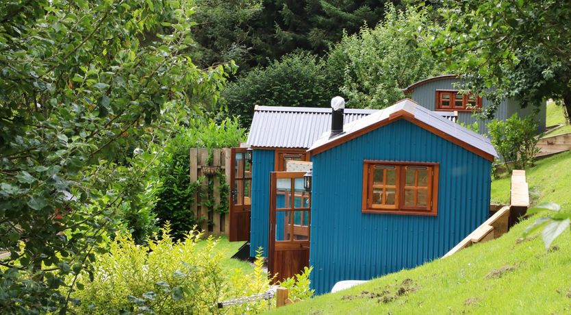 Photo of Little Silver Pheasant