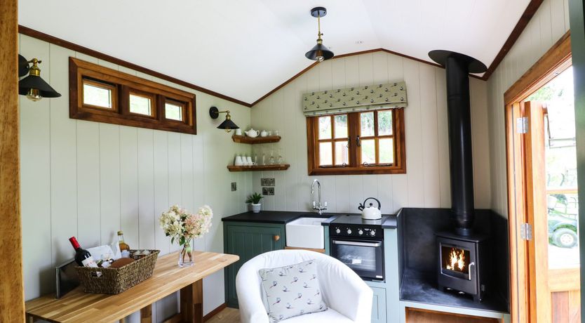 Photo of Little Silver Pheasant