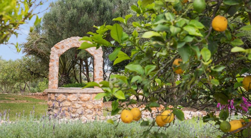 Photo of Finca Fresh